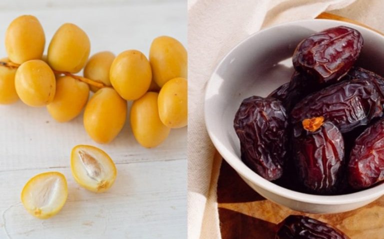 Exploring the Differences: Fresh Dates vs Dried Dates